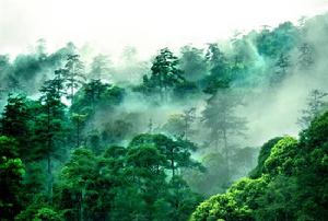 寫意山水 寫意山水