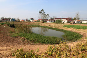 鹽城市大祐墾植公司 鹽城市大祐墾植公司