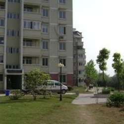 大華錦繡華城臨江苑 大華錦繡華城臨江苑