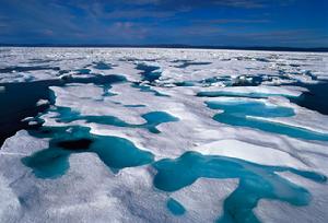北極甲烷大爆發
