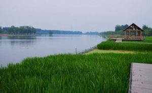 通州大運河森林公園