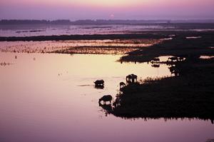 西洞庭湖自然保護區