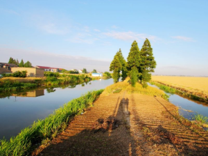 常陰沙生態農業度假區 常陰沙生態農業度假區