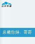 總裁你好,哥哥再見 總裁你好,哥哥再見