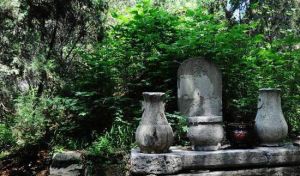 蘇軾父子墓 蘇軾父子墓