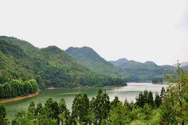 盤水鎮[貴州省黔西南州普安縣盤水鎮]