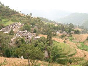 杏子山小村 杏子山小村