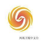鳳凰衛視中文台logo