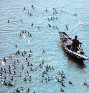 天河魚樂水鄉景區 天河魚樂水鄉景區