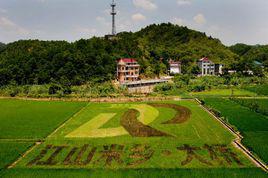 大橋鎮[浙江省江山市大橋鎮]