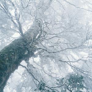 《弋陽道中遇大雪》