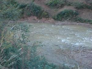 弓江村通村河流