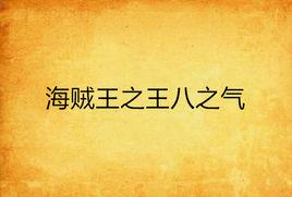 海賊王之王八之氣 海賊王之王八之氣