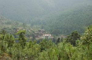 廠口鄉螞蟥箐村