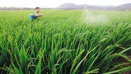 累積性暴露評估 累積性暴露評估