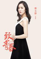 致青春[2016年楊文軍執導電視劇]