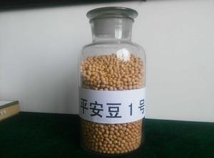平安豆1號 平安豆1號