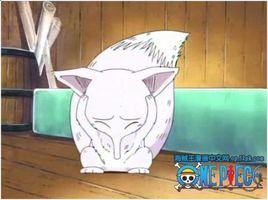 咻[動漫《海賊王》中柯妮絲的寵物]