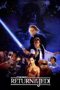 星球大戰：武士復仇