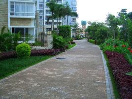 消防車道 消防車道