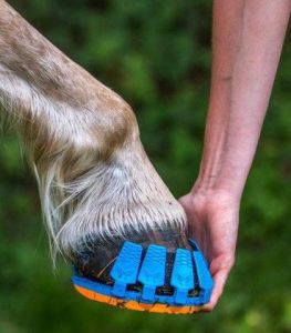 馬蹄專用跑鞋 馬蹄專用跑鞋