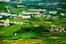 開平[廣東省江門開平市]