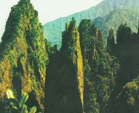 陽城莽河獼猴國家級自然保護區