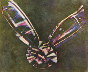 詹姆斯·克拉克·麥克斯韋拍攝的世界上第一張彩色照片。