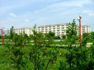 山東工業職業學院