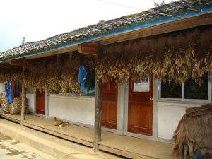 樂平自然村 樂平自然村