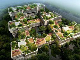 貝蒙盤古 貝蒙盤古