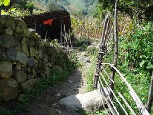 阿文大海自然村基礎設施-道路