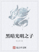黑暗光明之子