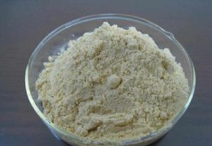 可利用多糖 可利用多糖