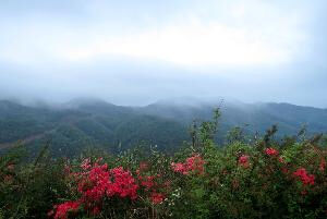 古台山森林公園 古台山森林公園