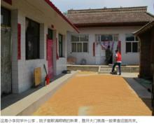 大愛無疆志願者協會