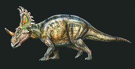 中國角龍 中國角龍