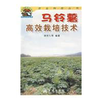 馬鈴薯高效栽培技術 馬鈴薯高效栽培技術