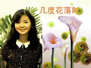 《幾度花落時》