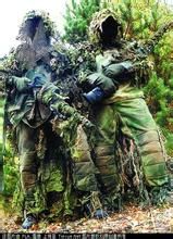 法國陸軍特種部隊 法國陸軍特種部隊