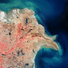 黃河三角洲 黃河三角洲