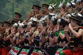 黃桑姑娘 黃桑姑娘