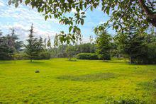 萬山[河南省滎陽市萬山]