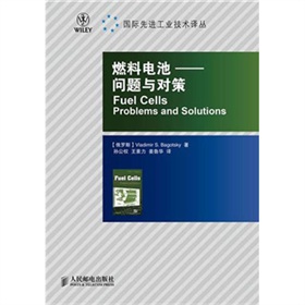 燃料電池：問題與對策