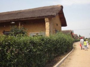 肥西老母雞生態園