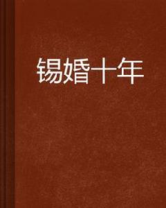 錫婚十年 錫婚十年