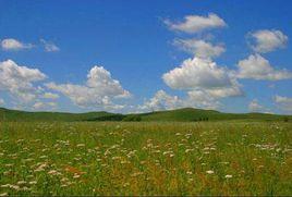 內蒙古錫林郭勒草原自然保護區