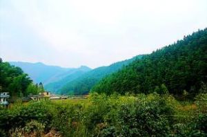 忙角山自然村 忙角山自然村