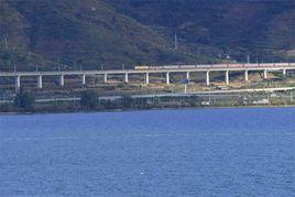 大麗鐵路 大麗鐵路