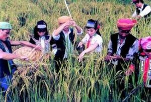 捉螞蚱節 捉螞蚱節